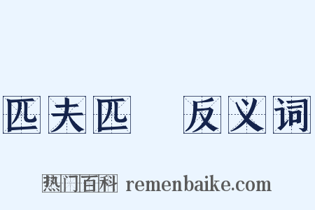 匹夫匹婦反义词是什么意思的图片